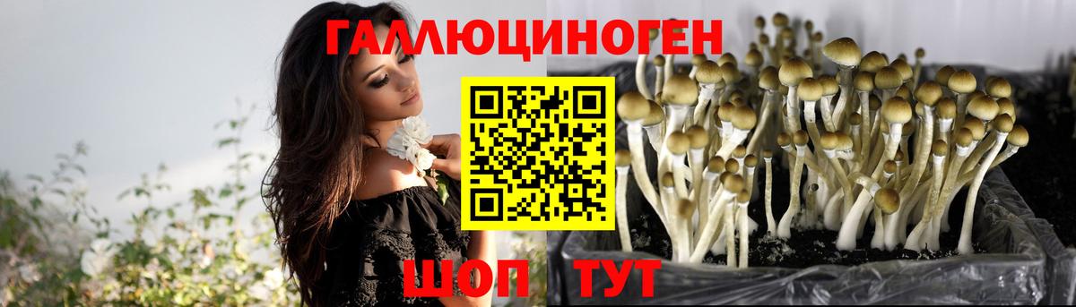 Псилоцибиновые грибы мицелий Саянск